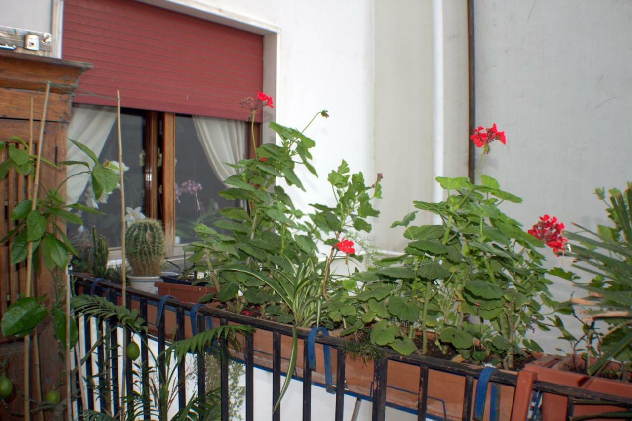 ساليرنو B&B Lili المظهر الخارجي الصورة